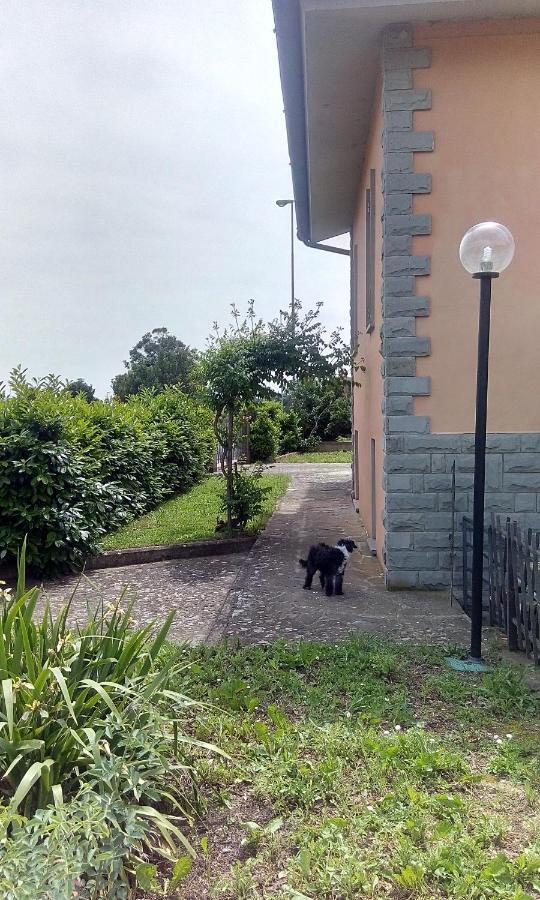B&B Molin Del Topo Monte San Savino Zewnętrze zdjęcie